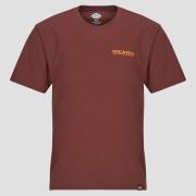 T-shirt Korte Mouw Dickies BURNS TEE SS ANDORRA