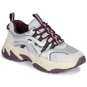 Lage Sneakers Steve Madden ANIMATES