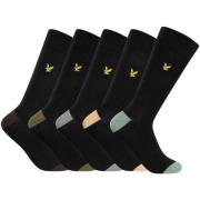 Socks Lyle &amp; Scott Set van 5 Graham Premium-sokken