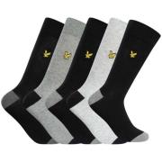 Socks Lyle &amp; Scott Set van 5 Graham Premium-sokken