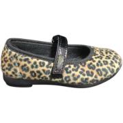 Ballerina's Vulladi CANDY