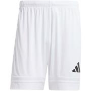 Korte Broek adidas Squa25 Sho M