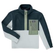 Fleece Jack Patagonia K'S MICRODINI 1/2 ZIP P/O