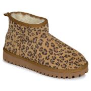 Laarzen Les Tropeziennes par M.Belarbi CHAKIRPO