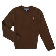 Trui Polo Ralph Lauren LS CN TONAL-SWEATER-PULLOVER