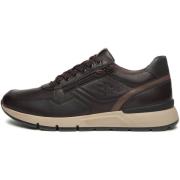 Sneakers NeroGiardini Savana Sauvage Taupe Pu.Bidens.Poggio B16