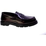 Mocassins Nacree 145989