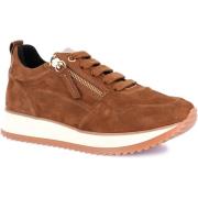 Lage Sneakers Grunland DSG-SC2169
