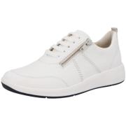 Lage Sneakers Solidus Kalea