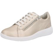 Instappers Solidus Kalea