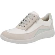 Instappers Solidus Kalea