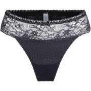 Strings Lingadore DAILY String