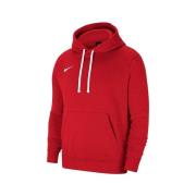 Sweater Nike Team Park 20 Hoodie