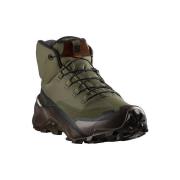Wandelschoenen Salomon Cross Hike Tracker Gtx