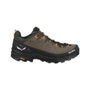 Wandelschoenen Salewa Alp Trainer 2 Gtx