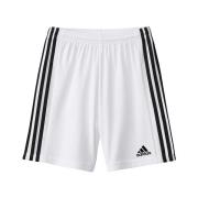 Korte Broek adidas Squadra 21