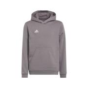 Sweater adidas Entrada 22 Hoody