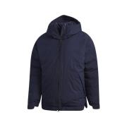 Donsjas adidas Traveer Insulated Rain.rdy