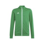 Sweater adidas Entrada 22