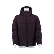 Donsjas Colmar IN2313131XX632