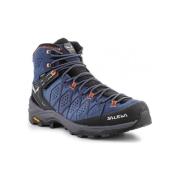 Wandelschoenen Salewa MS Alp Trainer 2 Mid Gtx