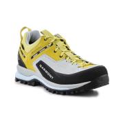 Lage Sneakers Garmont Dragontail Tech Gtx