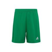 Korte Broek adidas Entrada 22 JR