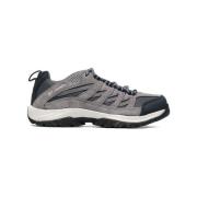 Wandelschoenen Columbia Crestwood