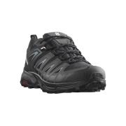 Wandelschoenen Salomon X Ultra Pioneer Gtx