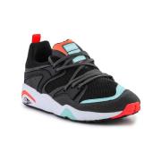 Lage Sneakers Puma Blaze Of Glory Reverse Classics