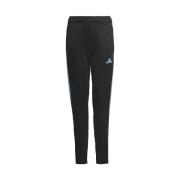 Broek adidas Tiro 23 Club Training