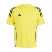 T-shirt Korte Mouw adidas IS1027
