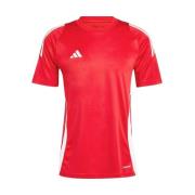 T-shirt Korte Mouw adidas IS1016