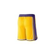 Korte Broek Nike Nba Los Angeles Lakers Swingman