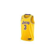 T-shirt Korte Mouw Nike Nba Los Angeles Lakers Anthony Davis Swingman