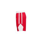 Korte Broek Nike Air Jordan Stock Basketball