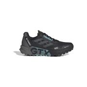 Hardloopschoenen adidas Terrex Agravic Flow 2.0 Gtx