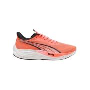 Hardloopschoenen Puma Velocity Nitro 3