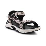 Nette Schoenen D.Franklin DFSH406002DOTT