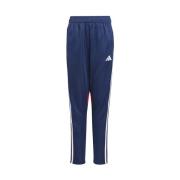Trainingsbroek adidas JD0576