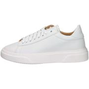 Lage Sneakers Gino Tagli 633 SPORT