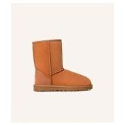 Enkellaarzen UGG -