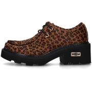 Nette schoenen Cult CLW354403