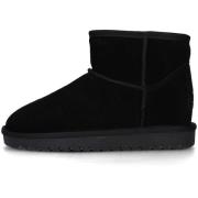 Enkellaarzen Colors of California HC.YWED51/BLA