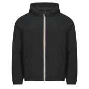 Windjack Teddy Smith B-HORT