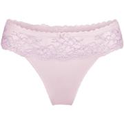 Strings Lingadore DAILY String