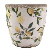 Vazen, potten voor binnen Signes Grimalt Citroenen Plantenbak