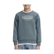 Sweater Jack &amp; Jones -