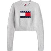 Trui Tommy Hilfiger TJW SPARKLE FLAG SWE DW0DW21690