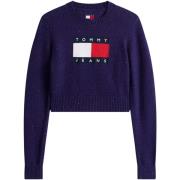 Trui Tommy Hilfiger TJW SPARKLE FLAG SWE DW0DW21690